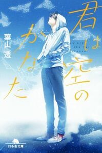 君は空のかなた 幻冬舎文庫／葉山透(著者)