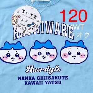 31359031 120 ハチワレ ぱっつん スポーツ刈り 半袖Tシャツ ガールズ ファッション トップス 服 ハチワレ うさぎ 新品 MWT