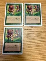 ラノワールのエルフ / Llanowar Elves 3枚セット 日本語版 / マジック：ザ・ギャザリング Magic: The Gathering MTG_画像1