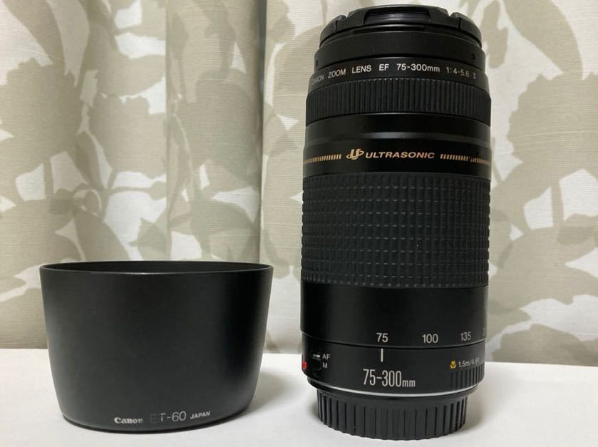 カメラ レンズ(ズーム) ヤフオク! -「canon 75-300」の落札相場・落札価格 カメラ レンズ(ズーム) ヤフオク! -「canon 75-300」の落札相場・落札価格