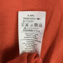 WOMENs M アイベックス メリノウール Tシャツ アメリカ製 生産終了モデル 入手困難 IBEX ピンク系_画像9