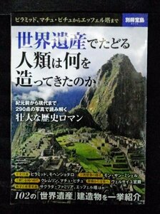 [03797]別冊宝島2110 世界遺産でたどる 人類は何を造ってきたのか ピラミッド マチュ・ピチュ エッフェル塔 紀元前 歴史ロマン 遺跡 文明