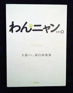 [03603]わんニャンとか。 脱力系 なごみ 可愛い 動物 おもしろい 癒し ペット イヌ ネコ パンダ クマ サル ゾウ 写真集 画像集 笑顔 趣味