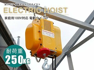 【訳あり】【1台限定】 電動ウインチ 強力小型ホイスト 家庭用100V対応 50Hz 最大能力250kg 移動式 吊り下げタイプ 荷上げ 荷下ろし 特価