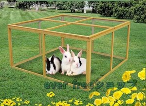  powerful recommendation! wooden rabbit chicken small shop breeding a Hill bird cage dog shop cat pet ... small shop parrot .. interior out evasion . prevention 