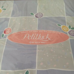 文具店在庫品 未開封☆クロワシ【PetitLuck】レターセット (b)☆