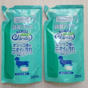 消臭スプレーシュレッシュ詰替2パック