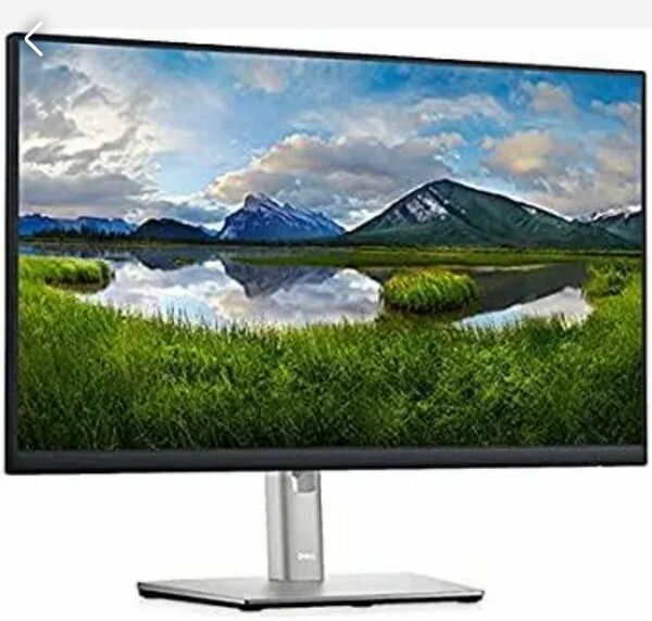 Dell P2422HE プロフェッショナルシリーズ