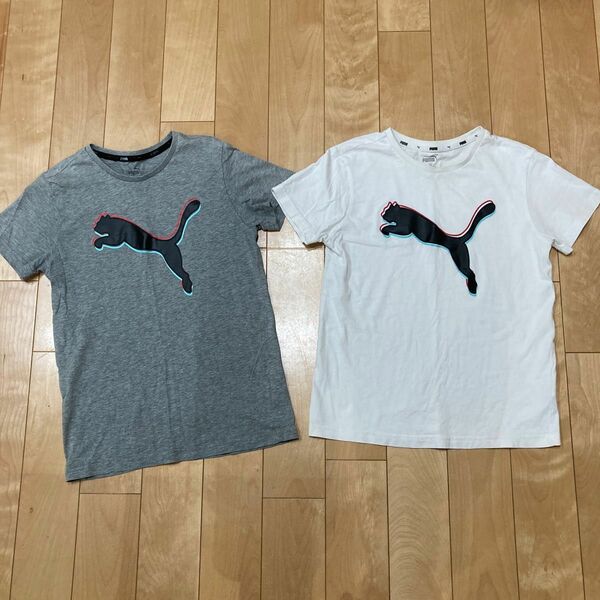 プーマ　PUMA 半袖　Tシャツ　グレー　白色　150