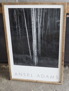 90's ANSEL ADAMS Official Picture print"ASPENS, NORTHERN NEW MEXICO"★90's アンセルアダムス特大プリント