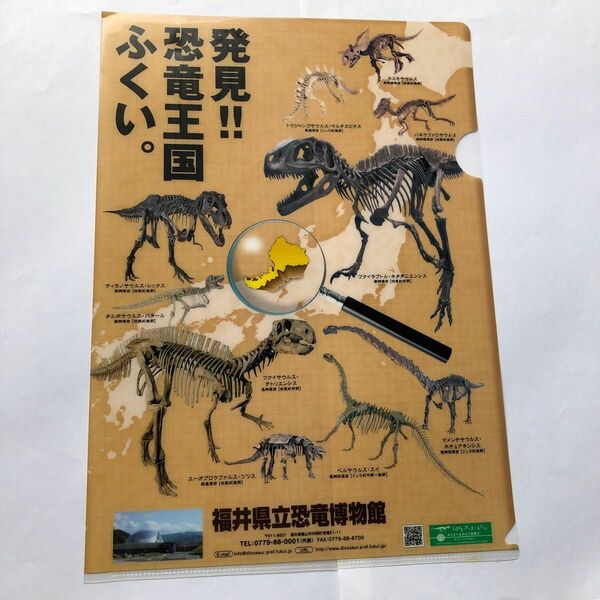 福井県立恐竜博物館　クリアファイル　　　　　とシール2枚