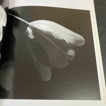 23-5-29『 ライフ 西村陽一郎 LIFE Yoichiro Nishimura 』写真集　1999年 西村陽一郎_画像5