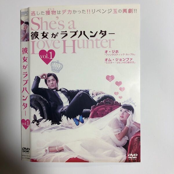 韓流ドラマDVD 彼女がラブハンター 全話