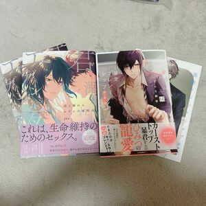 君と溺れるエデンの夜明け　暴愛フレンドシップ アニメイト　特典付き　bl 新刊