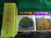 ■日本の野生植物　木本　全2巻函入り　平凡社　1989年■FASD2023051122■_画像1