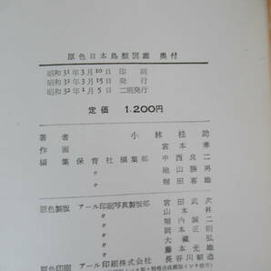 r51▽原色日本図鑑5冊セット 貝類図鑑 鳥類図鑑 鉱石図鑑 昆虫図鑑 蝶類図鑑 レトロ図鑑 昭和レトロ 昭和30年代 鉱物 保育社 230503の画像9