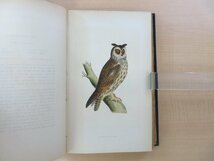 フランシス・オーペン・モリス Morris『A history of British birds』(全6冊揃)1868年ロンドン刊 手彩色画358枚 鳥類画譜 鳥類図鑑_画像10