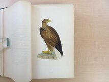 フランシス・オーペン・モリス Morris『A history of British birds』(全6冊揃)1868年ロンドン刊 手彩色画358枚 鳥類画譜 鳥類図鑑_画像5