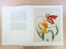 マリア・ジビーラ・メーリアン博物画譜 Maria Sibylla Merian『Leningrader Aquarelle』(全2冊揃) 昆虫画・植物画50点 ファクシミリ復刻版_画像10