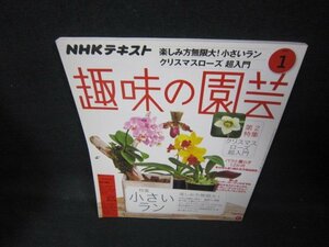 NHK hobby. gardening 2019 year 1 month number small Ran /JEF