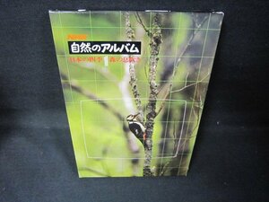 NHK自然のアルバム1　日本の四季　森の息吹き　箱割れ有/JCZK