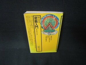 密教入門　桐山靖雄　角川選書　シミ有/KBA