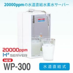 未使用品　H2 SERVER WP-300