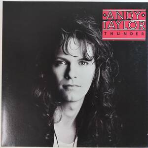 26212 ★美盤 ANDY TAYLOR/THUNDER