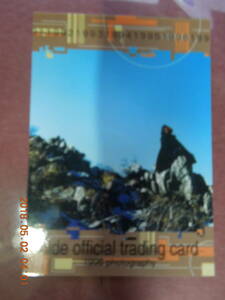 066 ： hide / hide official trading card / X JAPAN / オフィシャルトレーディングカード