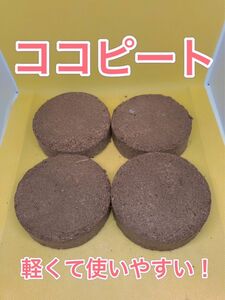 ココピート　丸型4個　水でふくらむ軽い土　ココヤシピート　約4リットル分