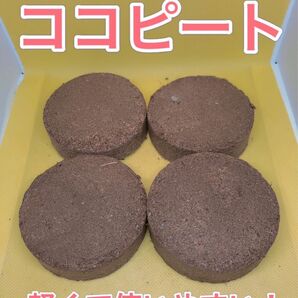 ココピート　丸型4個　水でふくらむ軽い土　ココヤシピート　約4リットル分