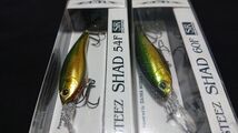 ダイワ スティーズ シャッド 60F SR 54F SR 2個セット グリーンゴールド 新品11 DAIWA STEEZ SHAD_画像3