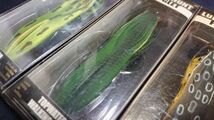 ランカーハント フロッグレット 4インチ 3インチ 3個セット 新品1 LUNKERHUNT FROGLET フロッグ FROG ライギョ 雷魚 鯰 なまず ナマズ_画像3