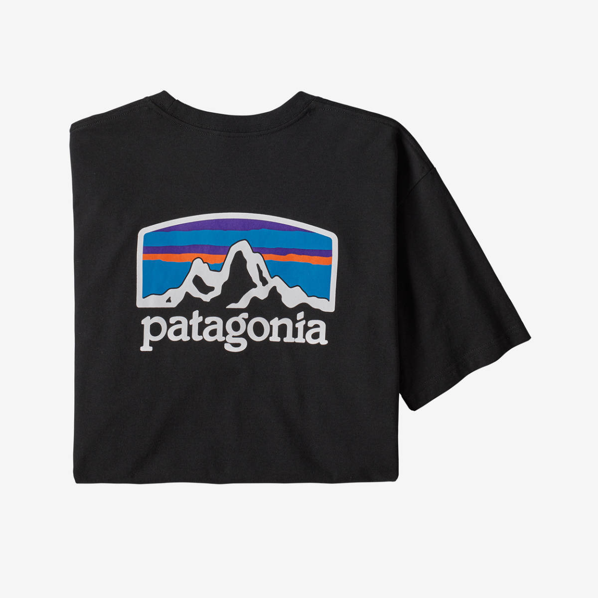 2023年最新】ヤフオク! -パタゴニア tシャツ xlの中古品・新品・未使用 