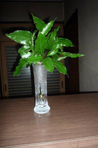 昭和レトロ　ガラス花瓶 花生け フラワーベース 花器 ガラス製 　大きさ高さ22.5㎝最大直径7.5㎝