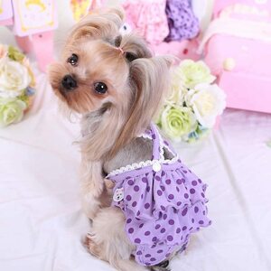 新品パープルXL　マナーパンツ 犬 通販 女の子 布 ポリエステル 生理 ドッグウェア 犬の服 小型犬 シニア犬 介護 犬 生理パンツ 