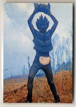 ◆防水対策 厚紙補強 カルビー 仮面ライダーチップスカード（1999 復刻版） 13番 魔人サボテグロン トレカ 即決_画像1
