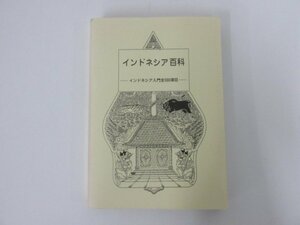 ★　【非売品 インドネシア百科 インドネシア入門全300項目 大槻重之 1991年 関西電力】142-02304