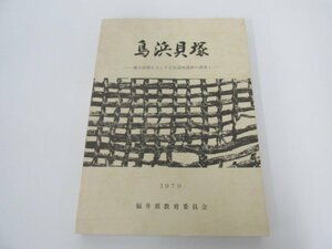 ★　【島浜貝塚 縄文前期を主とする低湿地遺跡の調査 1 1979 福井県教育委員会】080-02305