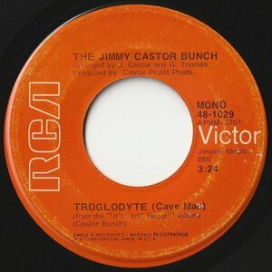 Jimmy Castor Bunch Troglodyte / I Promise To Remember RCA Victor US 48-1029 202410 SOUL FUNK ソウル ファンク レコード 7インチ 45