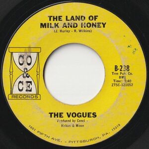 Vogues The Land Of Milk And Honey / True Lovers Co & Ce US B-238 202503 ROCK POP ロック ポップ レコード 7インチ 45