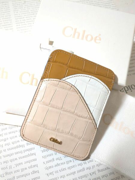 Chloe クロエ 定期入れパスケース カードケース 本革レアデザイン 付属品完備