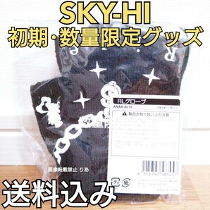 【送料込み】 数量限定グッズ SKY-HI RLグローブ 日高光啓 BMSG AAA スカイハイ