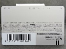 レアテレカ!! 未使用 ドリマガ サクラ大戦V さらば愛しき人よ 50度数×3 テレカ テレホンカード SEGA,2005 RED 2005 ①☆P_画像8