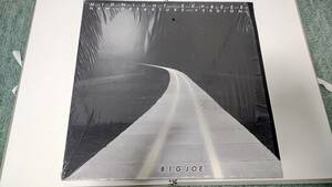 中古レコード 12インチ B.I.G Joe - Midnight Express / In The Darkness 2006 日本語ラップ Mic Jack Production