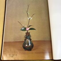 J08-043 カラー四季の茶花 山藤宗山 淡交社_画像6