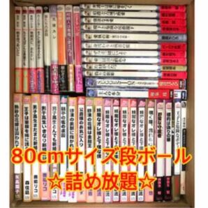 BL小説　☆80cmサイズ段ボール詰め放題☆