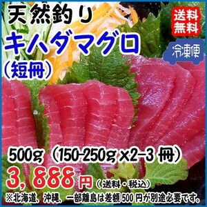  natural ( yellowfin tuna ) 150~250g×2~3.=450~500g freezing charge . sushi shop . for . vacuum pack free shipping . peace sea. . wholesale store 