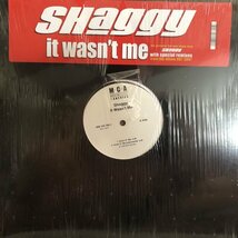 Shaggy / It Wasn't Me_画像1
