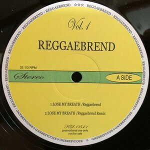 Unknown Artist / Reggae Brend Vol.1